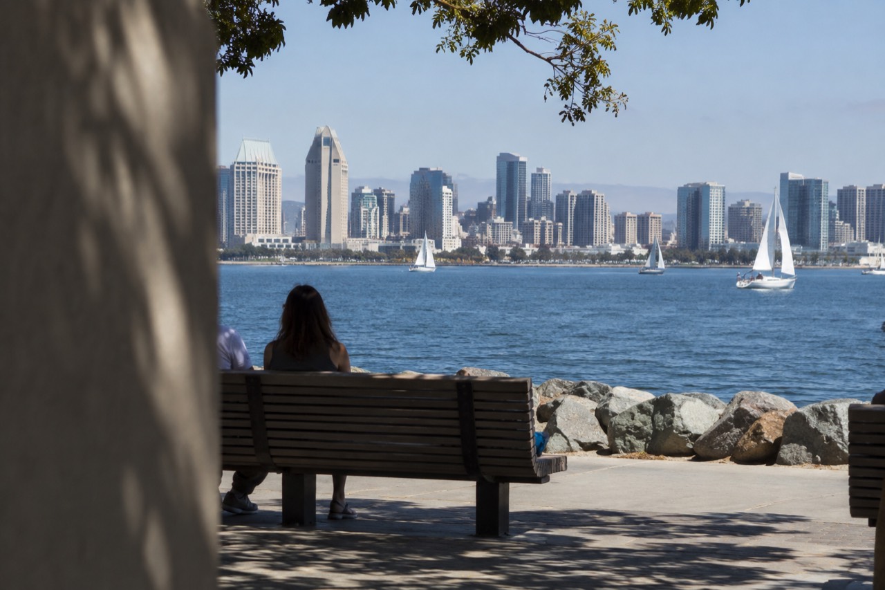 Sunlit San Diego bay with sailboats and the downtown skyline on a clear summer morning