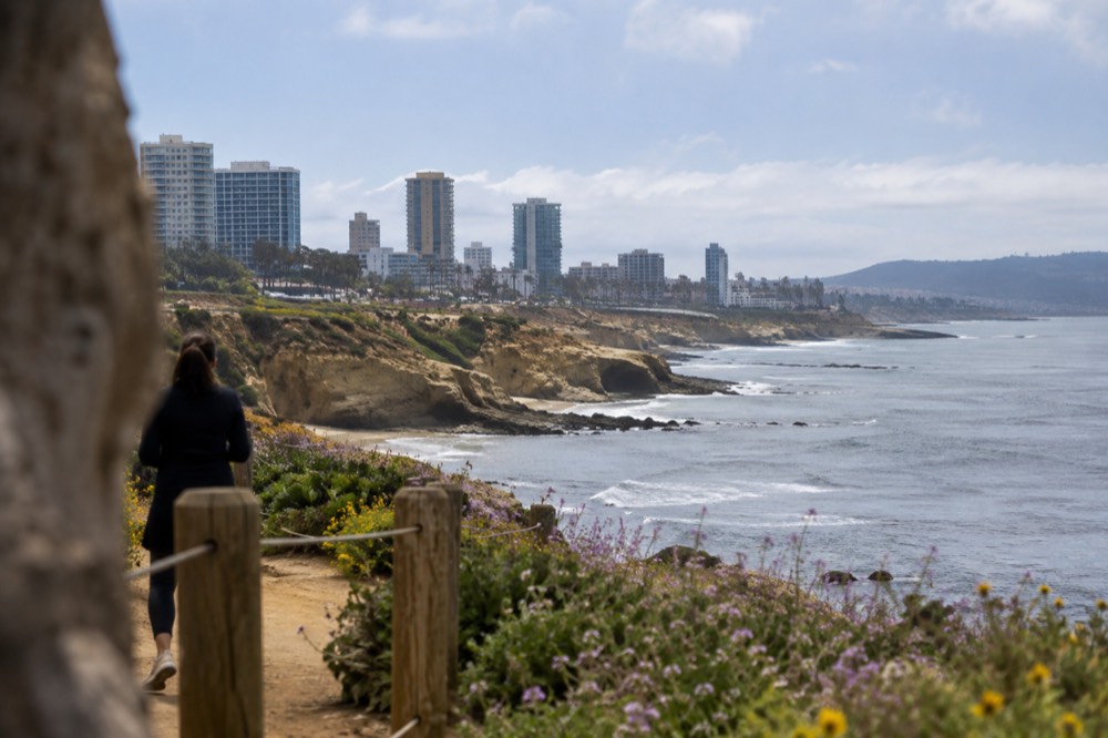A quiet coastal trail with wildflowers beginning to bloom along the cliff edge