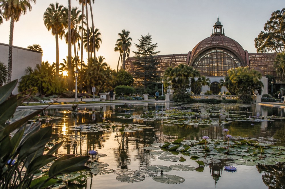 A lily pond in front of a domed garden conservatory surrounded by trees