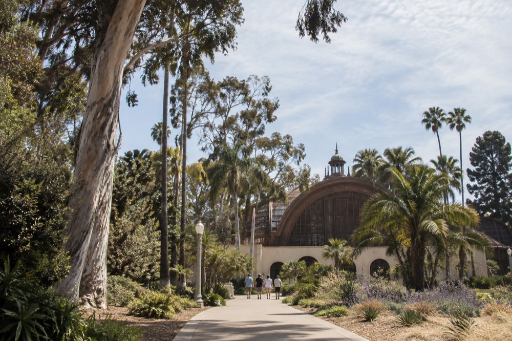 Garden path lined with tall trees and a large lath botanical building