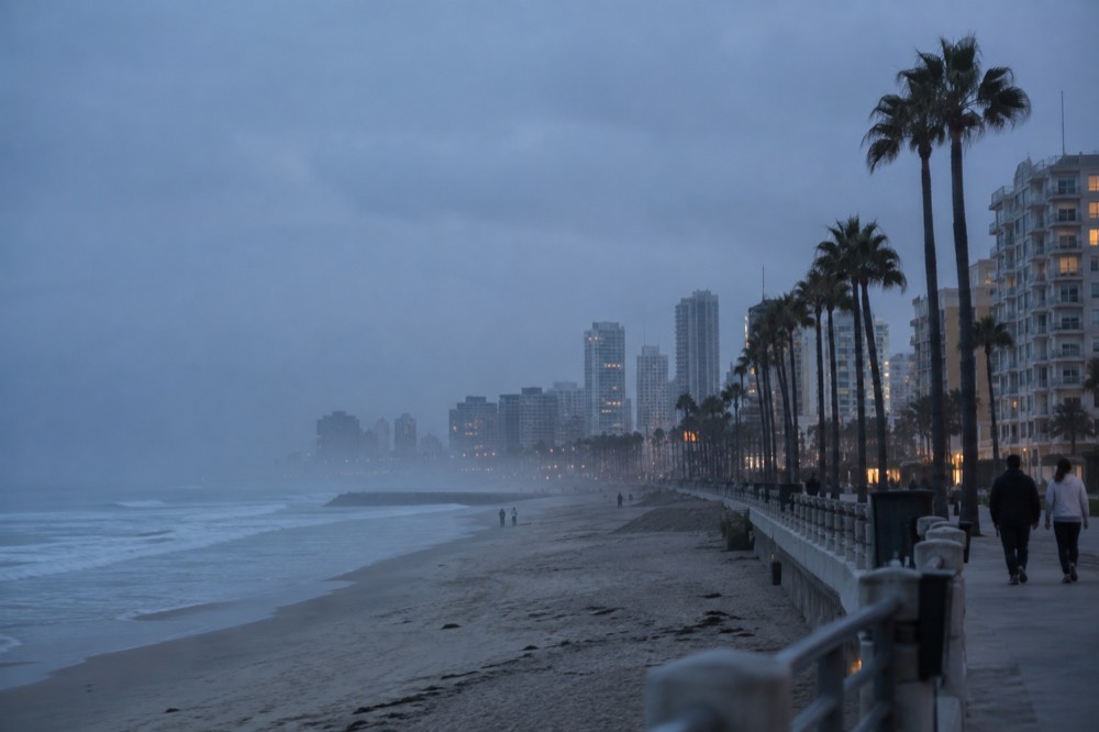 Low coastal fog over a beach boardwalk in the morning with palm trees silhouetted