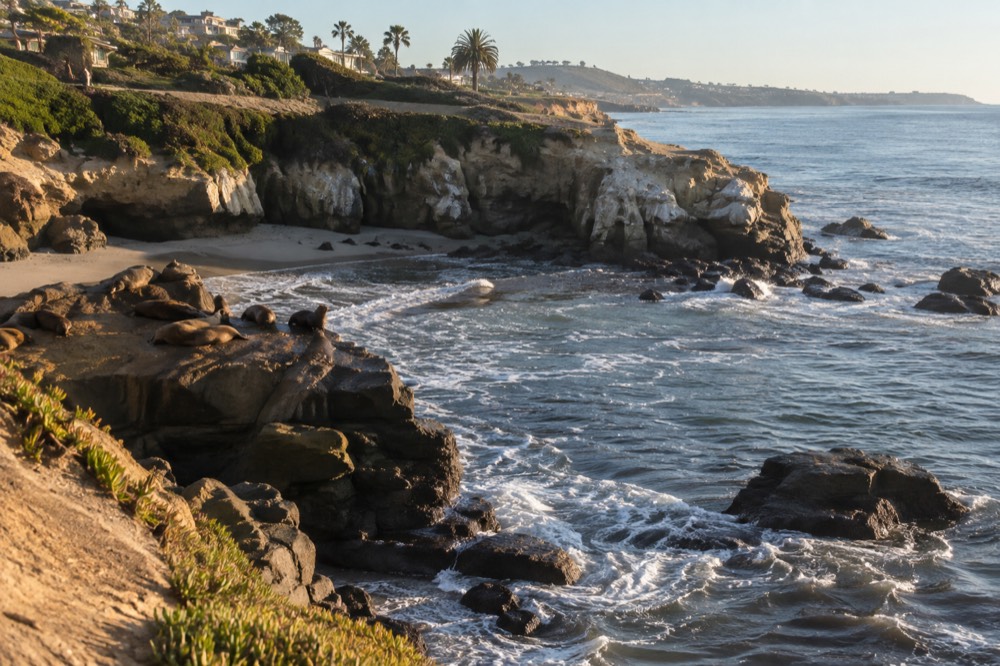 Rocky coastline with a small cove and sea lions resting on rocks near a coastal neighborhood