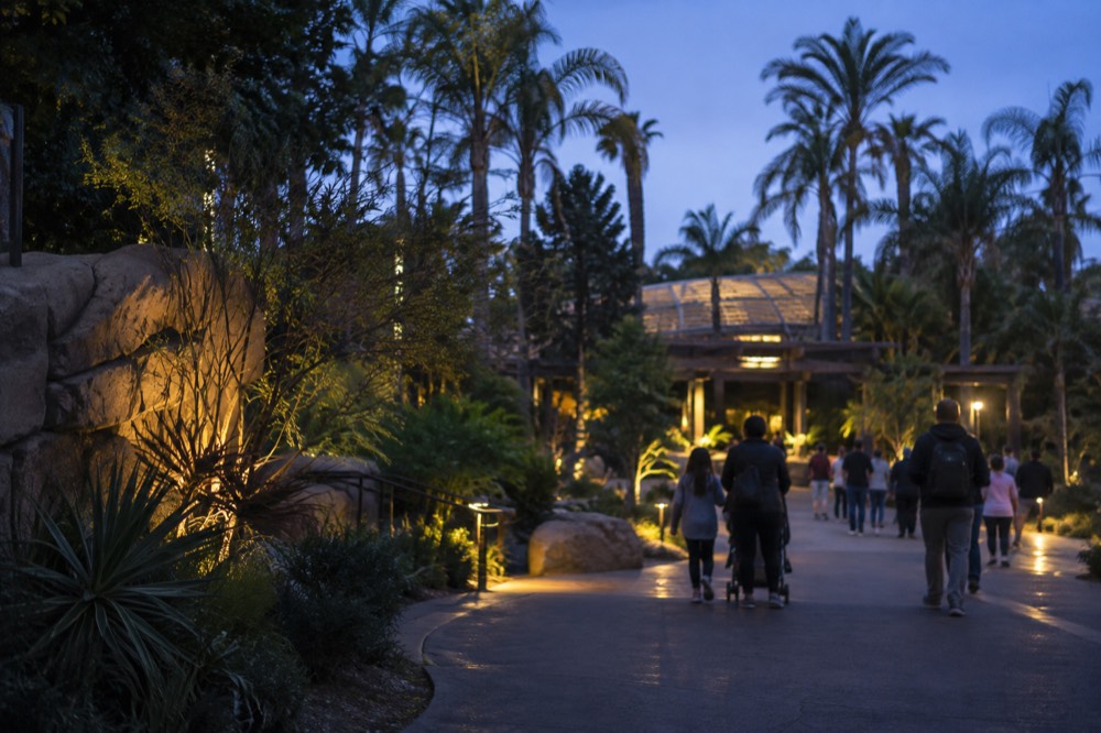 San Diego Zoo entrance plaza with palm trees and visitors walking in