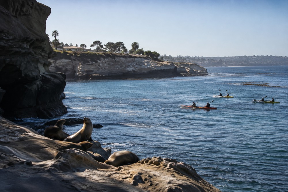 La Jolla Cove turquoise water with sea lions on rocks and kayakers nearby
