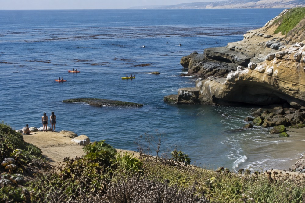 Turquoise water and sandstone cliffs at a La Jolla cove with kelp beds offshore