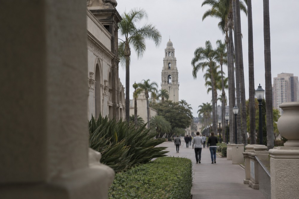 Palm-lined walkway with historic buildings and a tall observation tower in the background